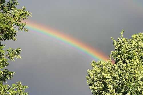 IMG_3111.rainbow